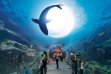 The Lost Chambers Aquarium